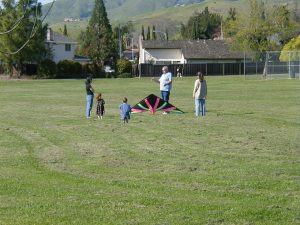 Kite Flying at Ben Rogers Park