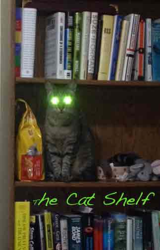 The Cat Shelf
