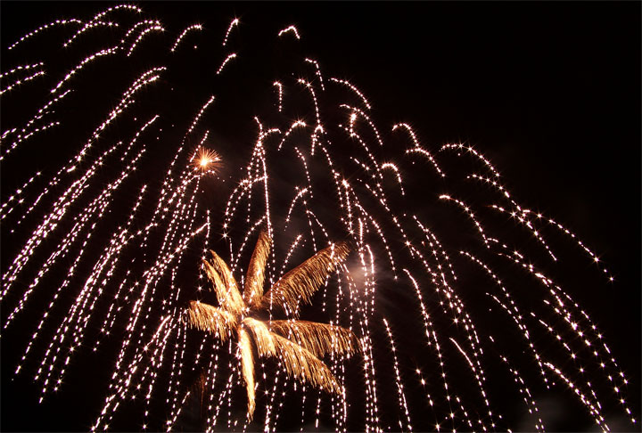 Palm tree fireworks
