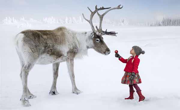 Reindeer and Girl