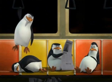 Penguins On A Bus