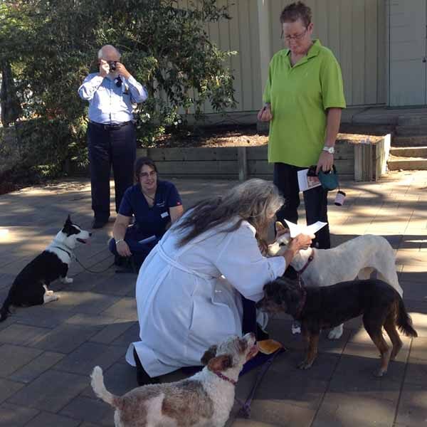 Blessing of the Animals SUMC 10-12-2014